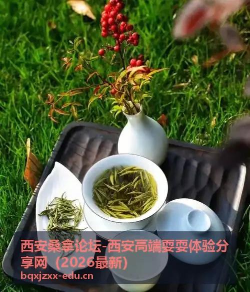 西安高端耍耍避坑指南封面 消费注意事项